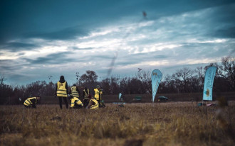 Pracownicy Cemex Polska sadzą drzewa za każdą wypełnioną przez klientów ankietę
