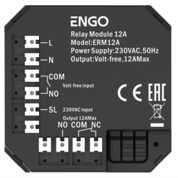 ERM12A - moduł przekaźnika 12A