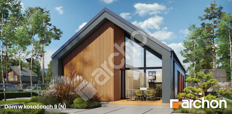 Dom w kosaćcach 9 (N)