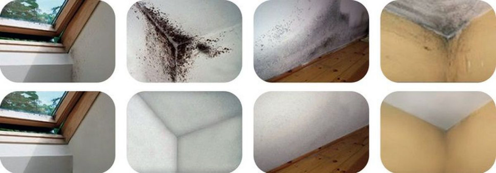 Obrzeża okien, narożniki oraz styk ścian z podłogą na gruncie to miejsca, w których najczęściej występuje zagrzybienie