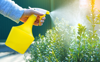 Ten oprysk działa na wszystkie szkodniki. 1 preparat zwalcza problem i zapobiega inwazji