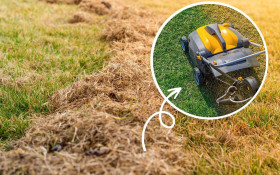 Jak zadbać o trawnik po zimie? Wiosną ten 1 zabieg jest niezbędny, by był gęsty i mocny. Nie przegap terminu