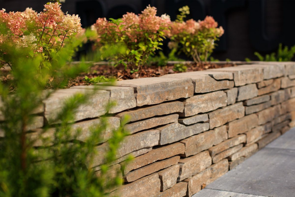 Murek Albero Polbruk