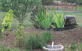 Trzcina zamiast szamba - poznaj zalety oczyszczalni gruntowo-korzeniowej.