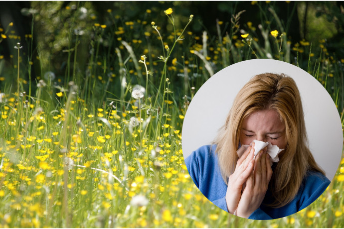 Koniec z kichaniem i łzawieniem! Nawiewniki oczyszczają powietrze z alergenów
