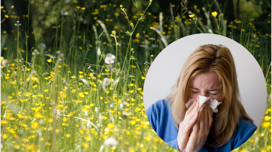 Koniec z kichaniem i łzawieniem! Nawiewniki oczyszczają powietrze z alergenów
