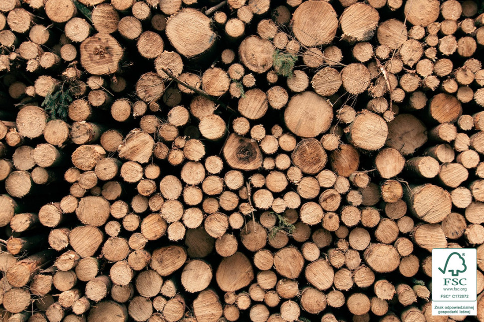 SC® CoC dla producentów wyrobów drewnianych i papierowych.