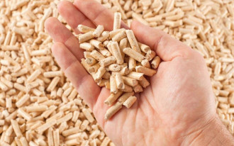 Zakup opału zaledwie w 3 minuty na Pellet4Future!