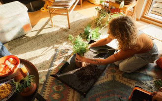 Stwórz roślinną oazę w Twoim domu z Fiskars - nowa linia narzędzi Urban Plant Care