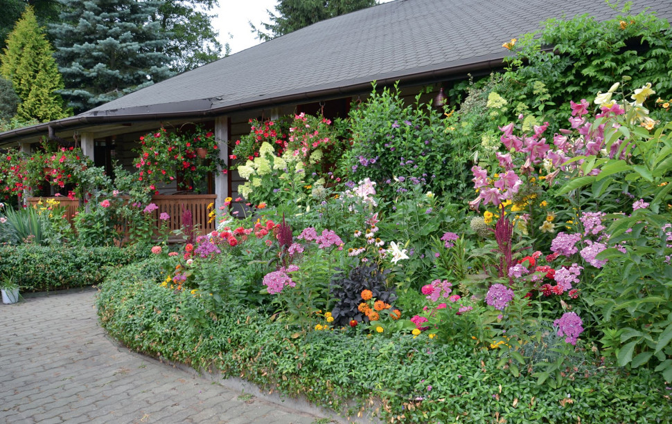 Spektakularny efekt kwietny na klombach przed tarasem