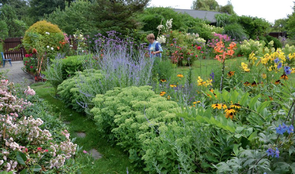 Feerię kwiatów w ciepłej gamie odcieni starała się zrównoważyć chłodną, niebieską i fioletową kolorystyką kwiatostanów lawendy, perowskii łobodolistnej, werbeny patagońskiej