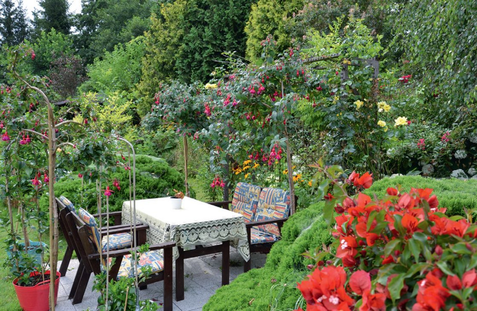 Urządzone na trawniku nasłonecznione i wybrukowane miejsce do wypoczynku