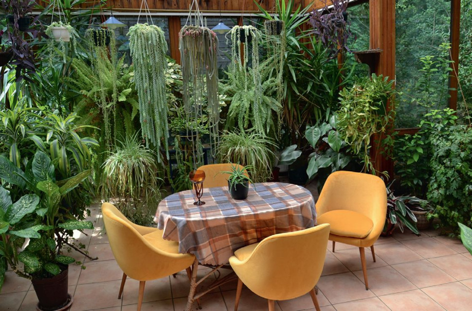 Kwiaty doniczkowe w ogrodzie zimowym