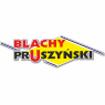 Blachy Pruszyński - BLACHA DACHOWA: REGLE, LOARA, REN, PŁASKA, NA RĄBEK