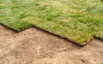 Kiedy rozpocząć pierwsze wiosenne zabiegi pielęgnacyjne na trawie z rolki? 