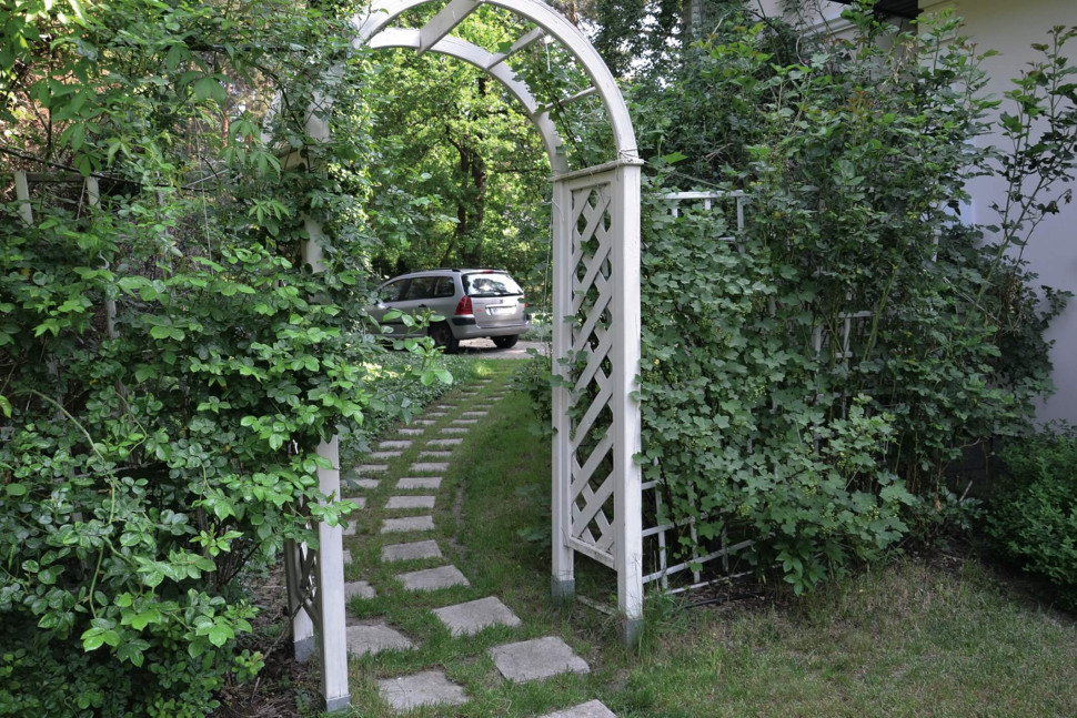 Ogród leśny projekt