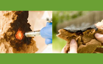 Klasyfikacja NRO w domach STEICO – bezpieczeństwo i swoboda lokalizacji