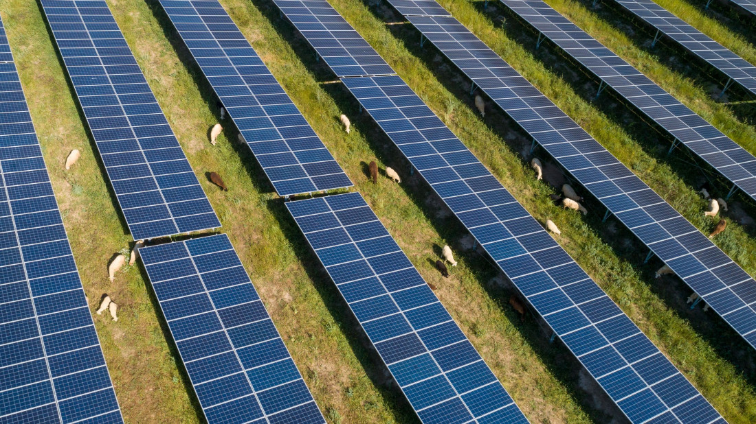 Farma fotowoltaiczna VELUX: Energia odnawialna i bioróżnorodność w Hiszpanii