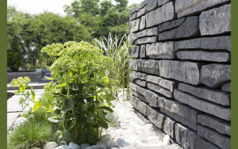 Ogród biocenotyczny - piękny, naturalny i oszczędny!