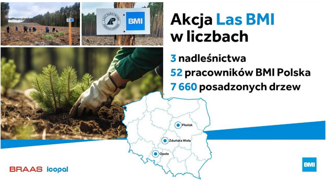 Ekologiczne działania BMI Polska dla lepszego jutra