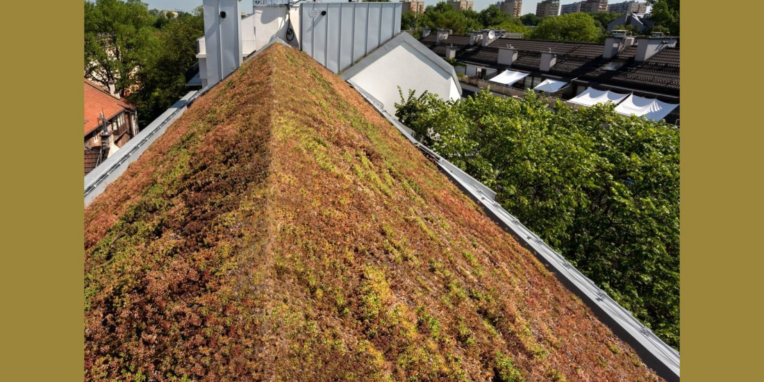 Dom przyjazny dla środowiska: Jak dach może wspierać zrównoważoną eksploatację budynku?