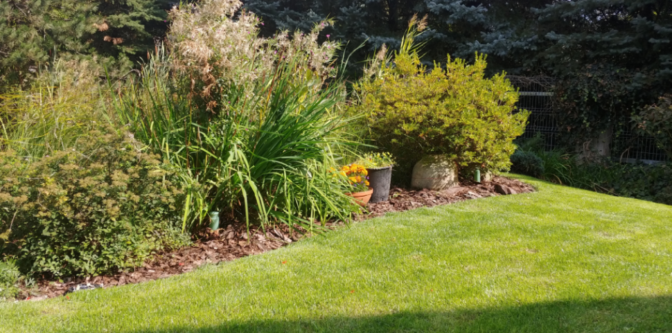 Zielony zraszacz GREEN SHOWER nawadnia rośliny ozdobne.