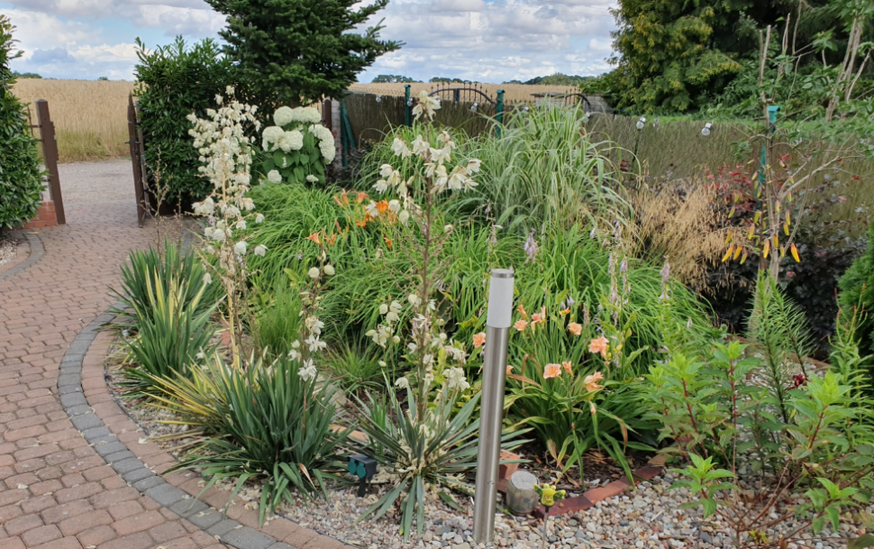 Przykłady poletek roślinnych nawadnianych wodą po oczyszczalni HABA.