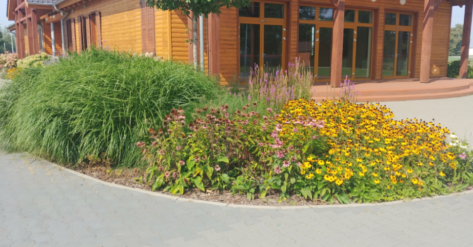 Przykłady poletek roślinnych nawadnianych wodą po oczyszczalni HABA.