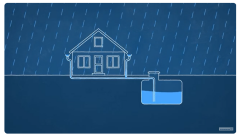 Jakie korzyści daje zbieranie i wykorzystywanie wody deszczowej? Dlaczego warto zbierać deszczówkę?