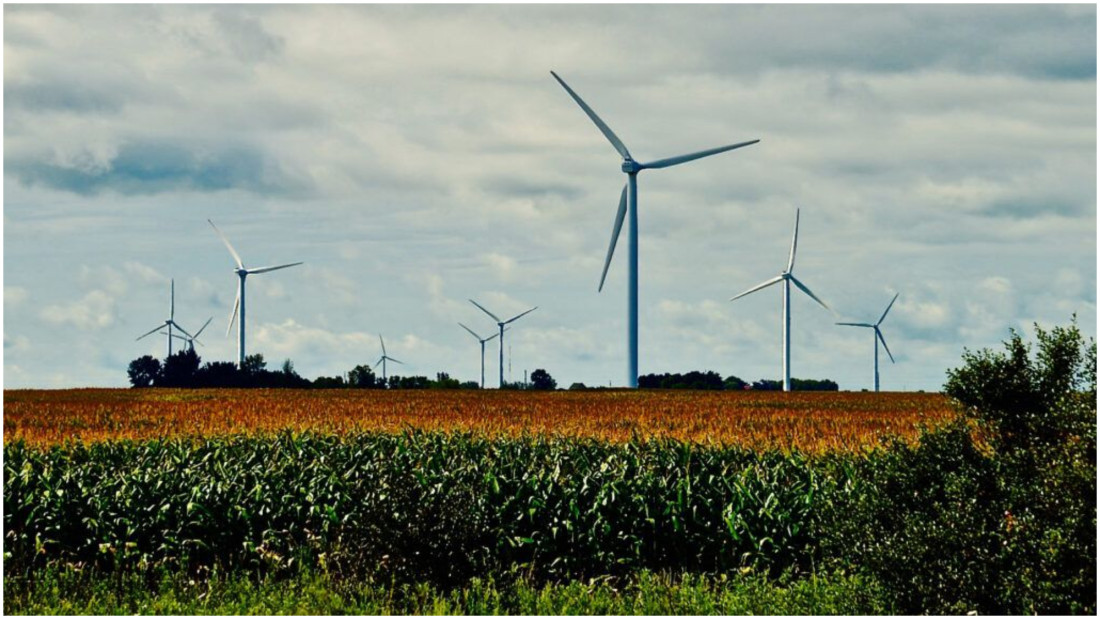 Który zakątek Polski zasila najwięcej domów czystą energią?