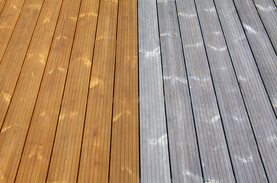 Termososna olejowana lub szara.