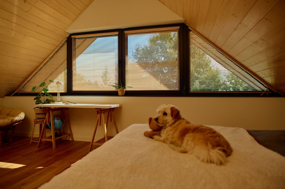 Najwyższa jakość i design w żaluzjach drewnianych