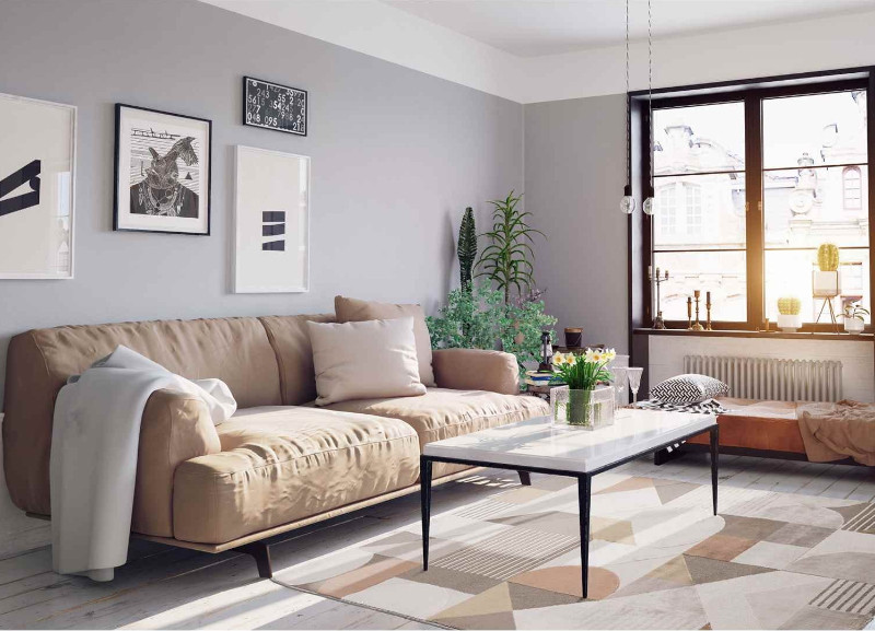 Dywan MODA, zdj. Multidecor