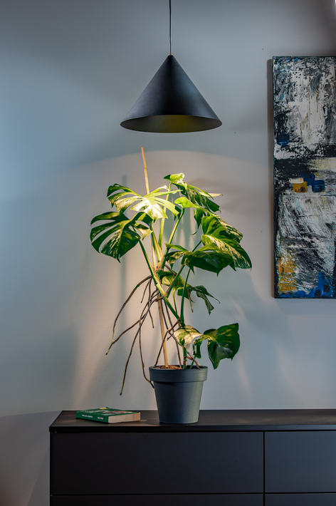 Lampa ZEN
