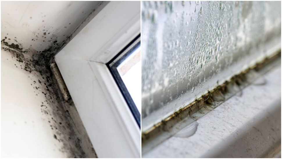 Gdy pomieszczenie nie jest odpowiednio wentylowane, na oknach zaczyna pojawiać się pleśń