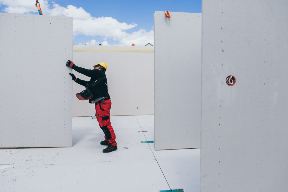 ©Sławek Podwojski, Czarna Zebra