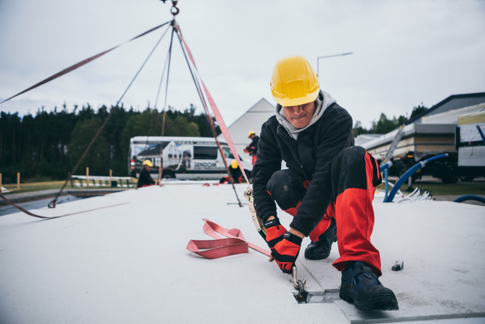 fot. Sławek Podwojski, Czarna Zebra