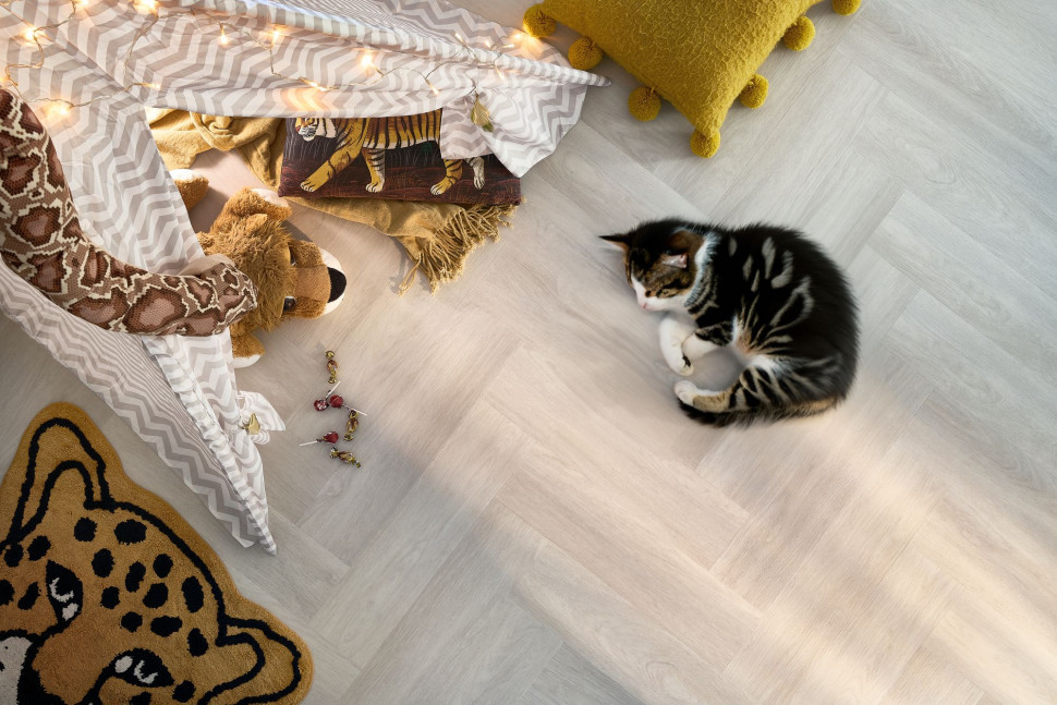 Kot leżący na podłodze wykończonej panelami winylowymi