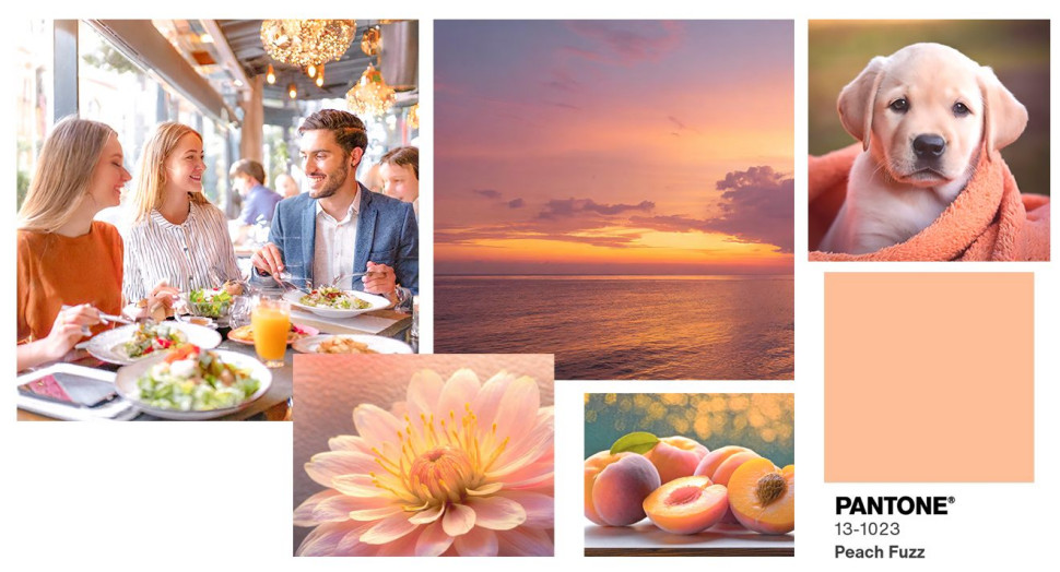 Trendy kolorystyczne na rok 2024 według Pantone