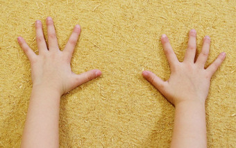 Ten materiał ochroni dom przed upałem lepiej niż wełna!