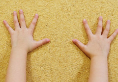 Ten materiał ochroni dom przed upałem lepiej niż wełna!