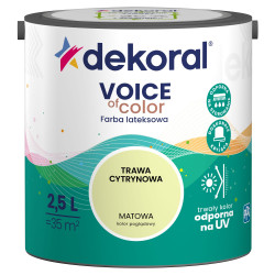 Dekoral VOICE OF COLOR
