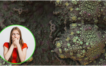 Pleśń w domu. Skąd się bierze i co robi z Twoim zdrowiem?