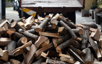 Ile za drewno na opał w grudniu 2024? Ceny drewna opałowego: sprawdzamy, gdzie jest najtańsze