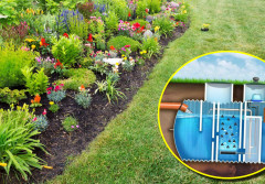 Jakie rośliny można sadzić na przydomowej oczyszczalni ścieków? Lista gatunków bezpiecznych dla instalacji