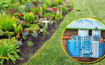 Jakie rośliny można sadzić na przydomowej oczyszczalni ścieków? Lista gatunków bezpiecznych dla instalacji