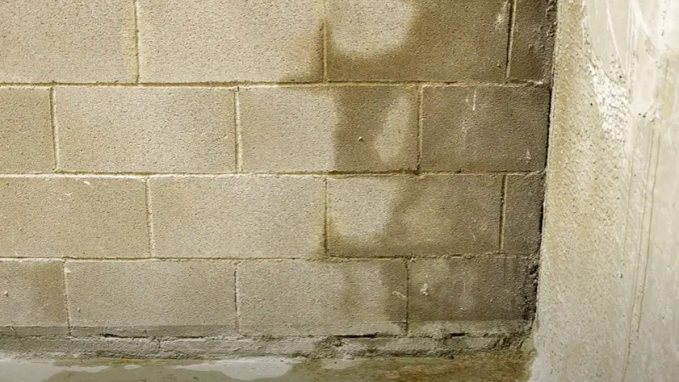 Wilgoć przenikająca do betonu osłabia jego strukturę i tworzy idealne warunki do rozwoju pleśni.