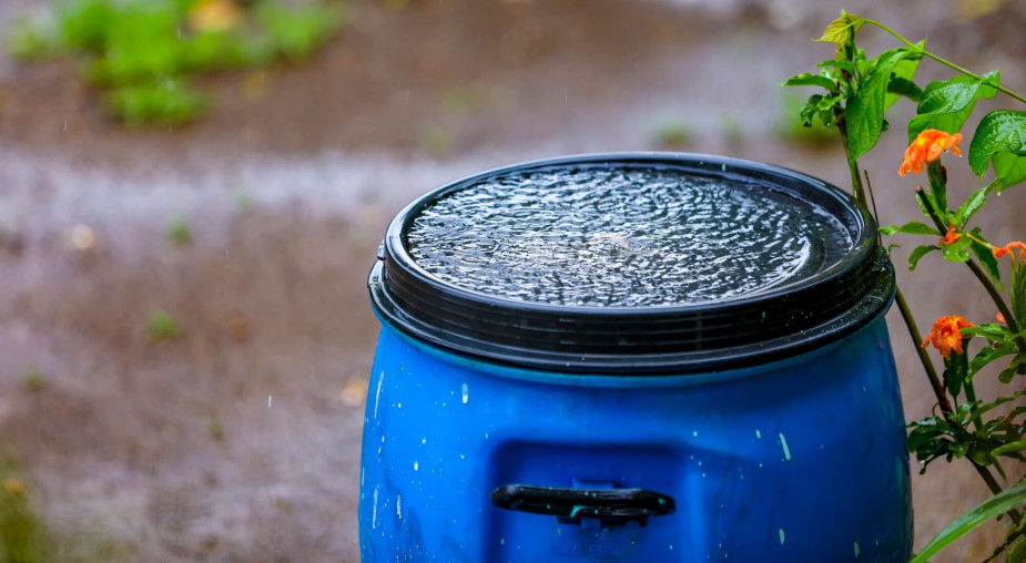 Ruszyły dofinansowania do zbierania deszczówki 2026 - wysokie dotacje, ale mało czasu na złożenie wniosku