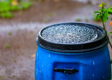 Ruszyły dofinansowania do zbierania deszczówki 2026 - wysokie dotacje, ale mało czasu na złożenie wniosku