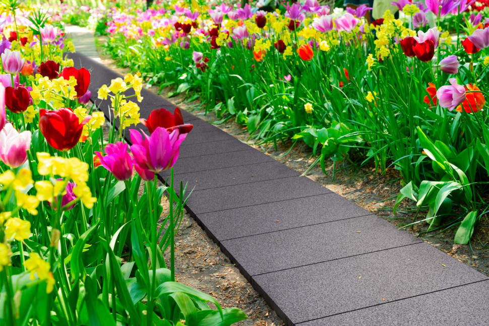 Płyty dekoracyjne MUSSO® - ONE COLOR